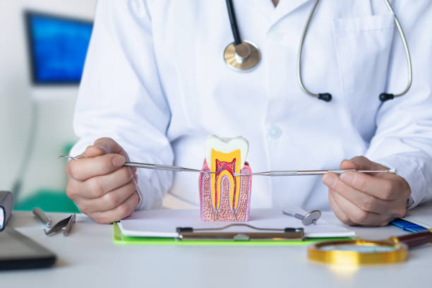 Best Emergency Dentist for Lost Fillings or Crowns in Glenwood, IA